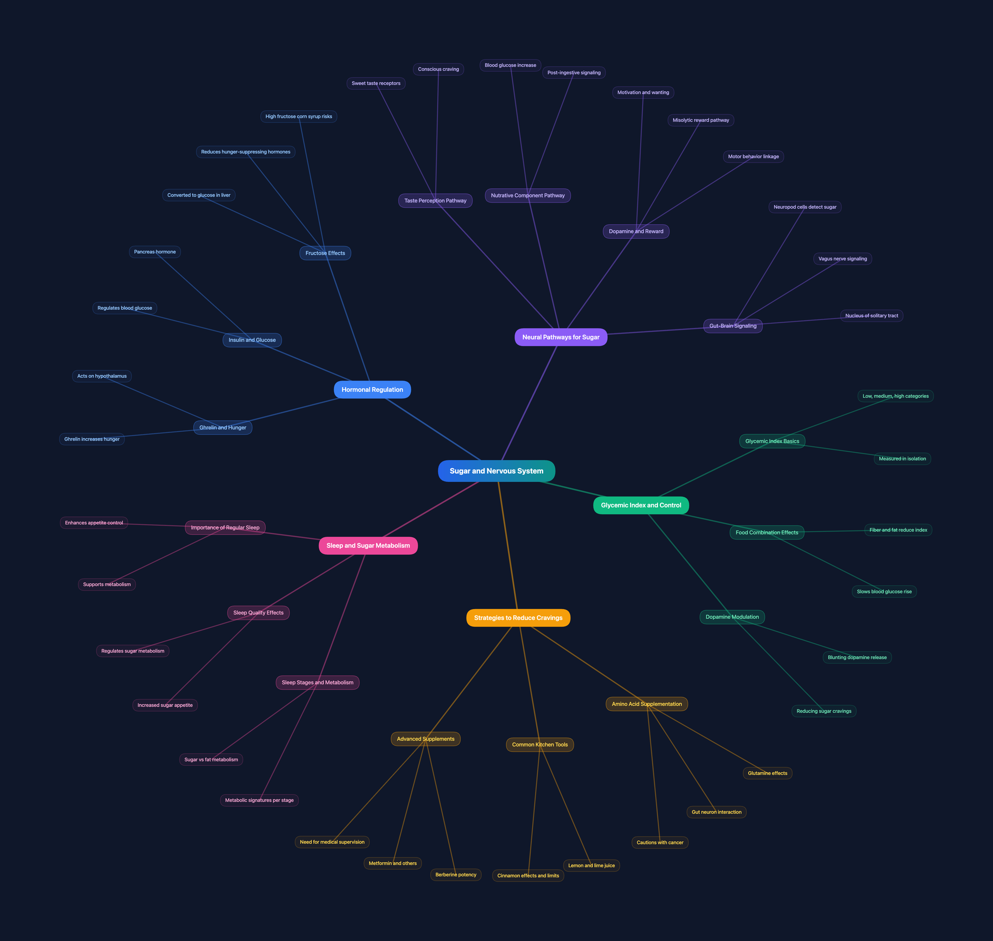 Why a Mind Map Should Be the First Thing You Build When Studying Something New